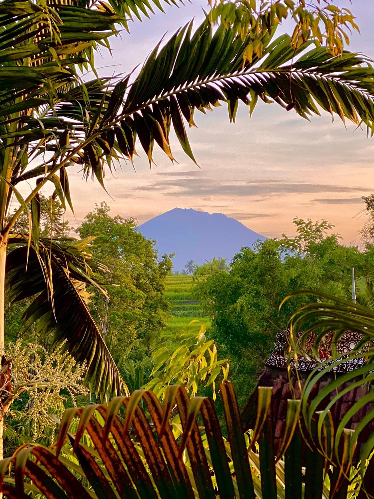 Lumina Residences And Wellness Sanctuary Ubud Exterior foto